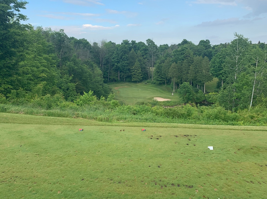 Blue Springs Golf Club景点图片