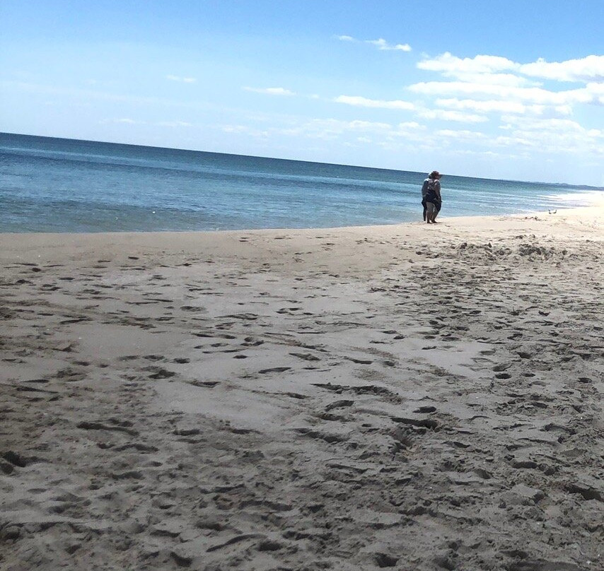 Peppermint Grove Main Beach-Peppermint Grove Beach必去景点