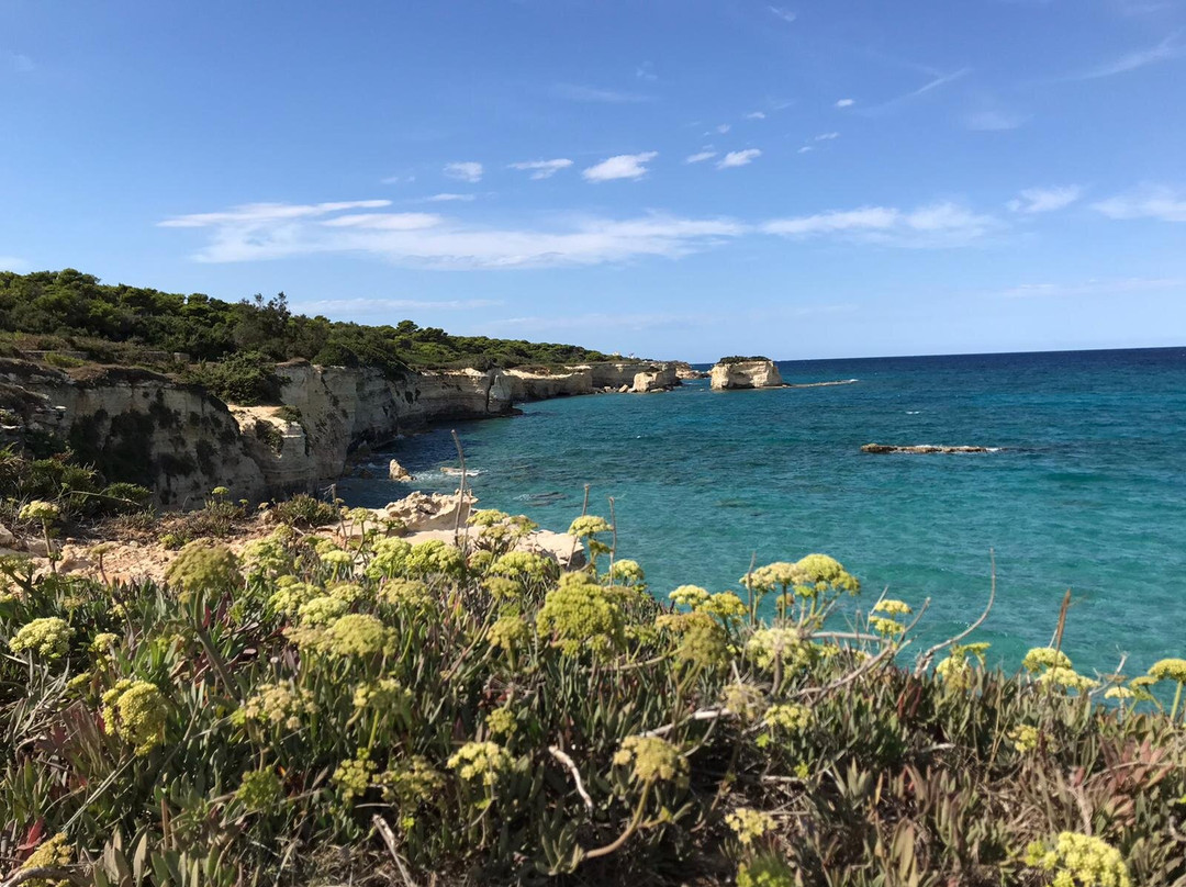 Olive Garden House主图