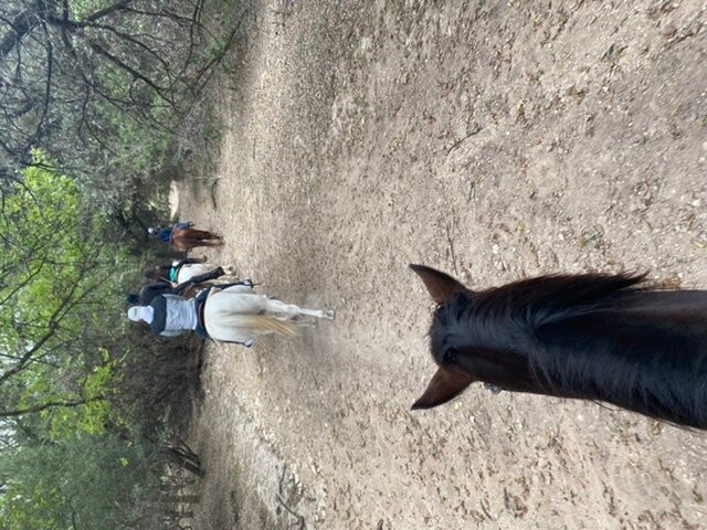 Silver Spur Ranch-Bandera必去景点