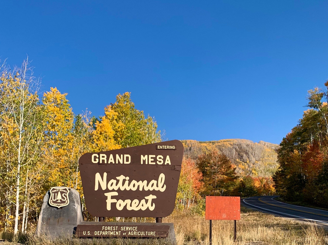 Grand Mesa National Forest-Collbran必去景点