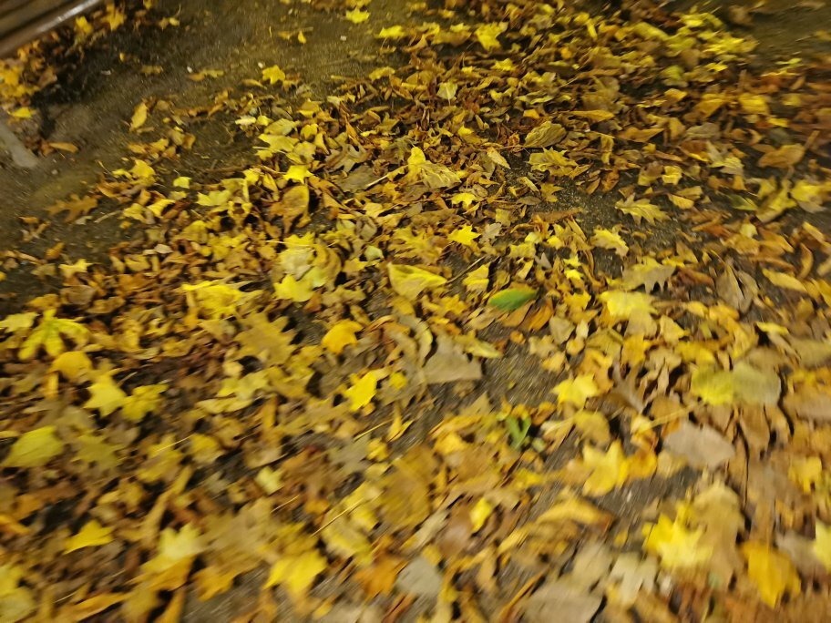 Rosalia de Castro Park-卢戈省必去景点