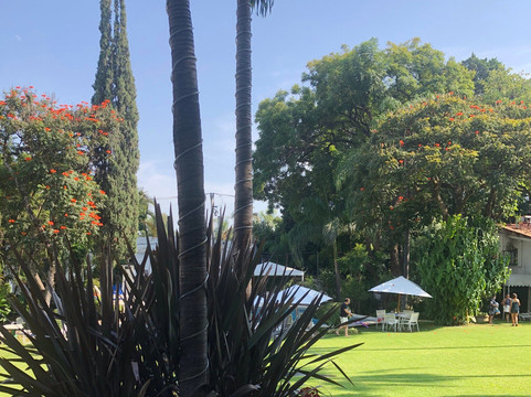 Quinta Las Flores主图