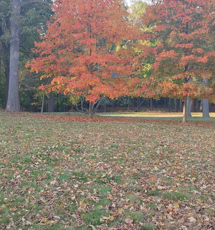 Sagamore Hill National Historic Site景点图片