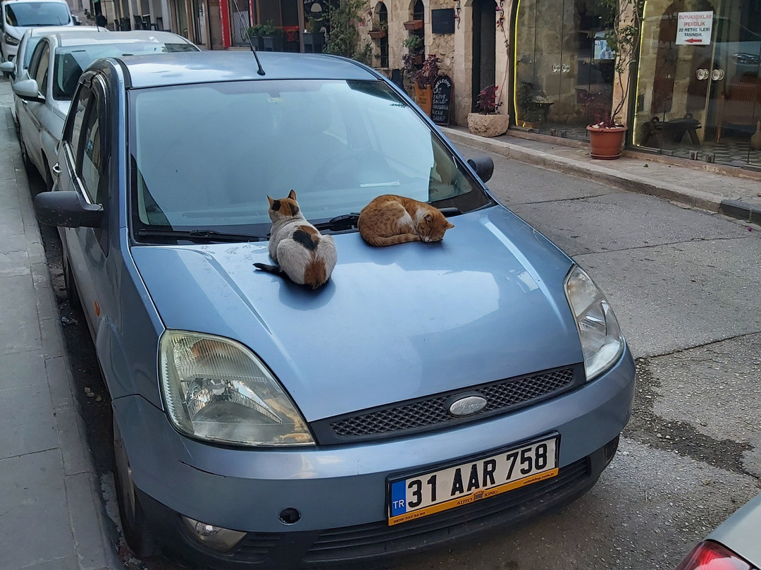 Old City of Antakya-安塔基亚必去景点