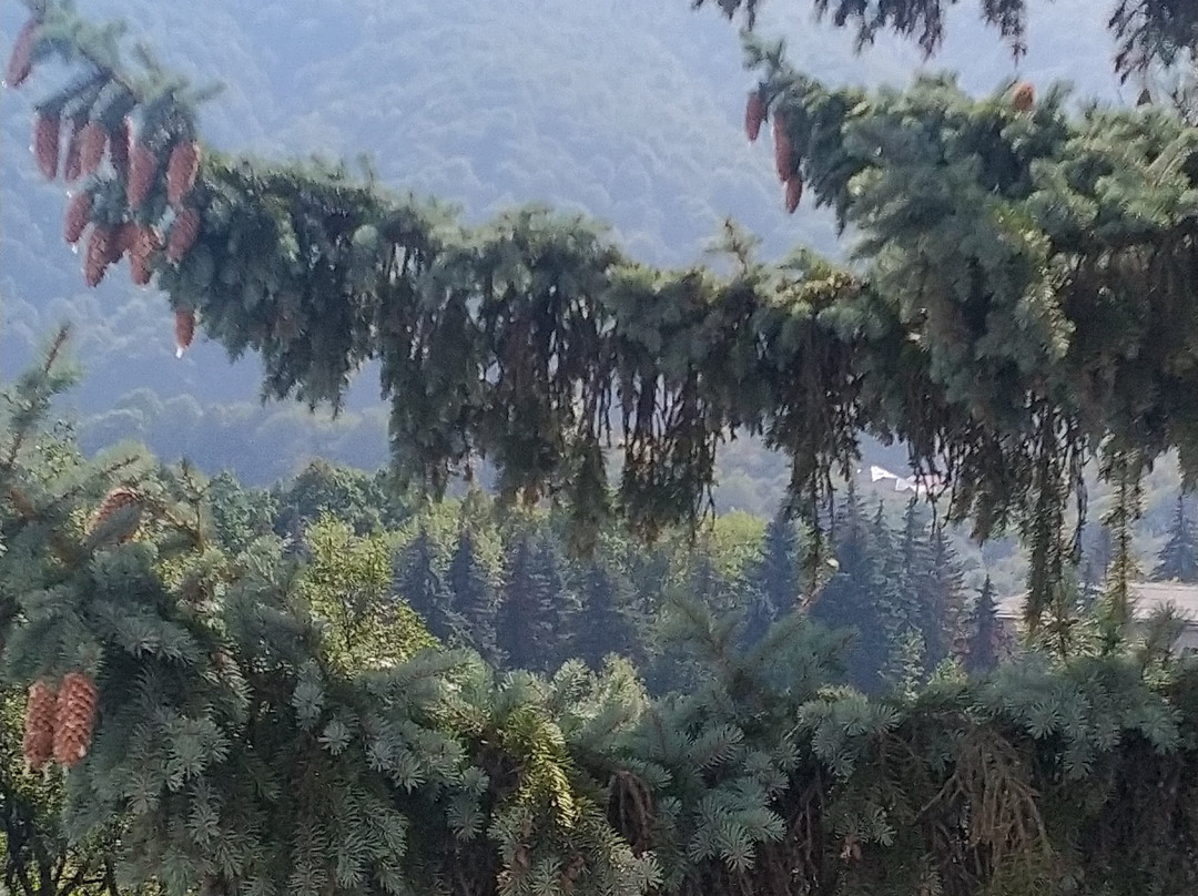 Sanatorium Grushevaya Roshha主图