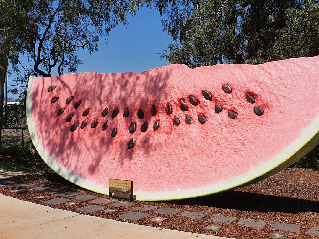 The Big Melon-Chinchilla必去景点