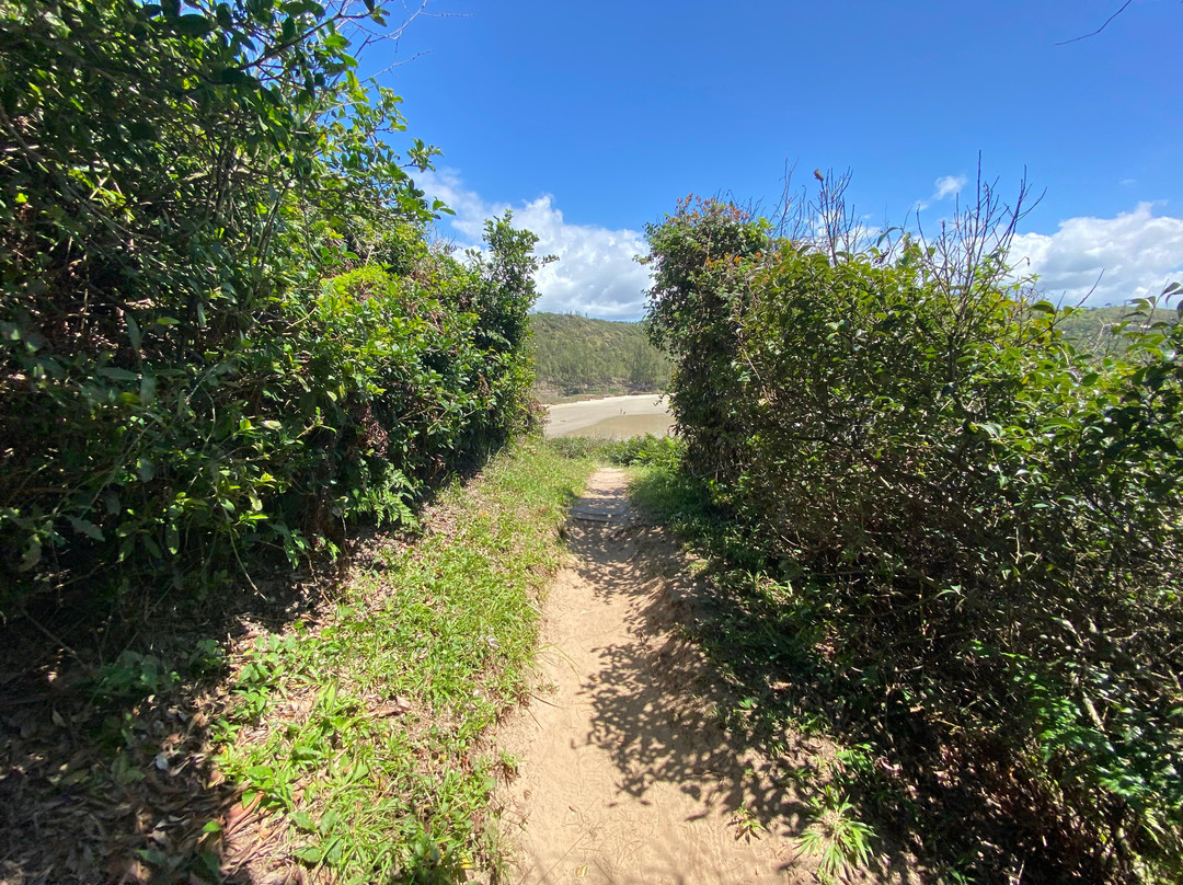 Vermelha Beach-Praia do Rosa必去景点