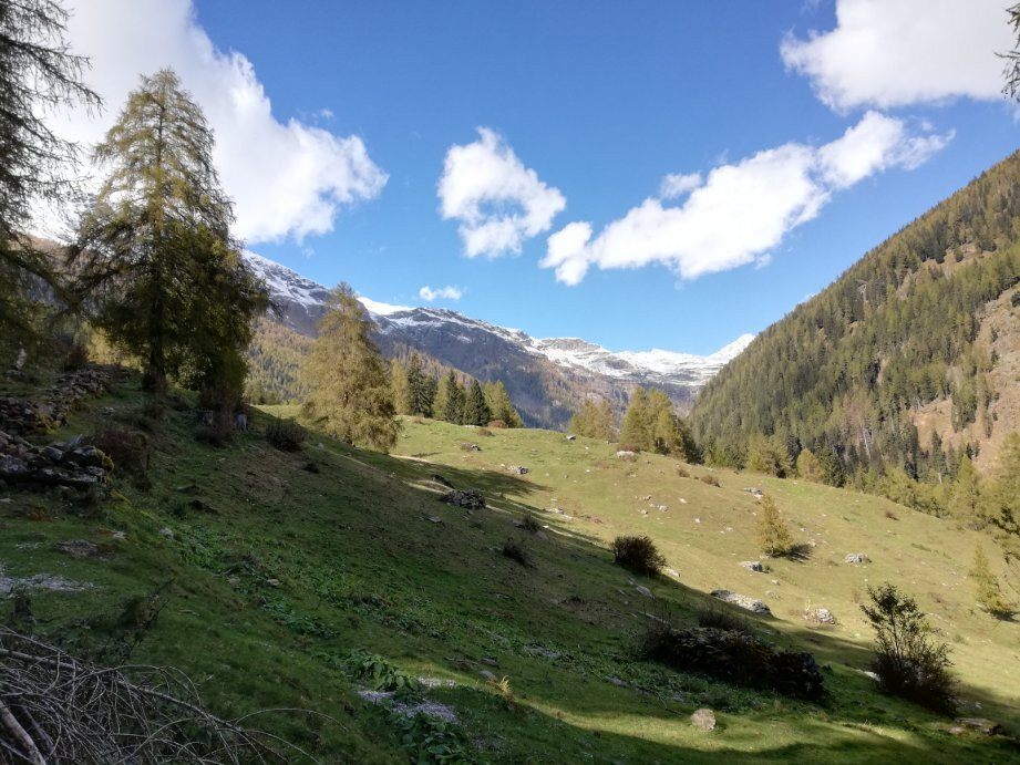 Parco Nazionale Dello Stelvio - Centro Visite di Rabbi景点图片