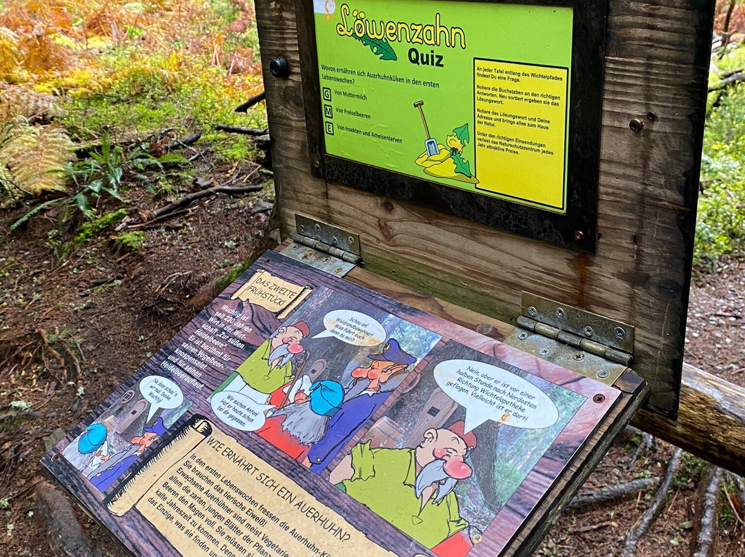 The Little Folk's Trail-菲尔德山必去景点