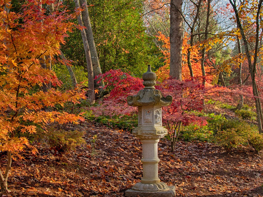 Big Canoe旅游景点-Gibbs Gardens