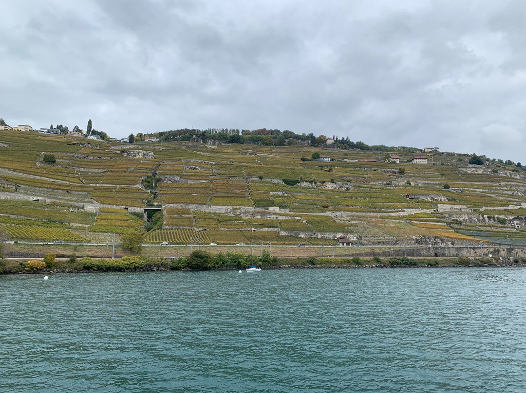 La Suisse - Belle Epoque - Paddle Steamboat-洛桑必去景点