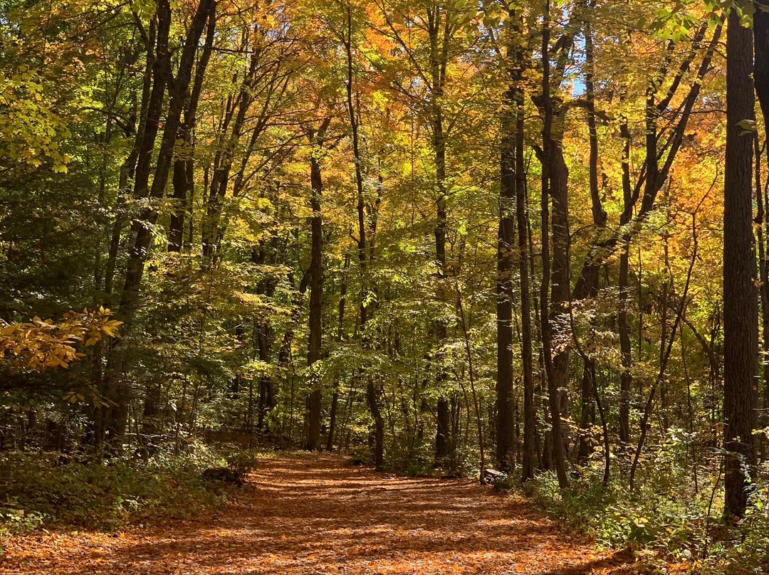 Talcott Mountain State Park-锡姆斯伯里必去景点