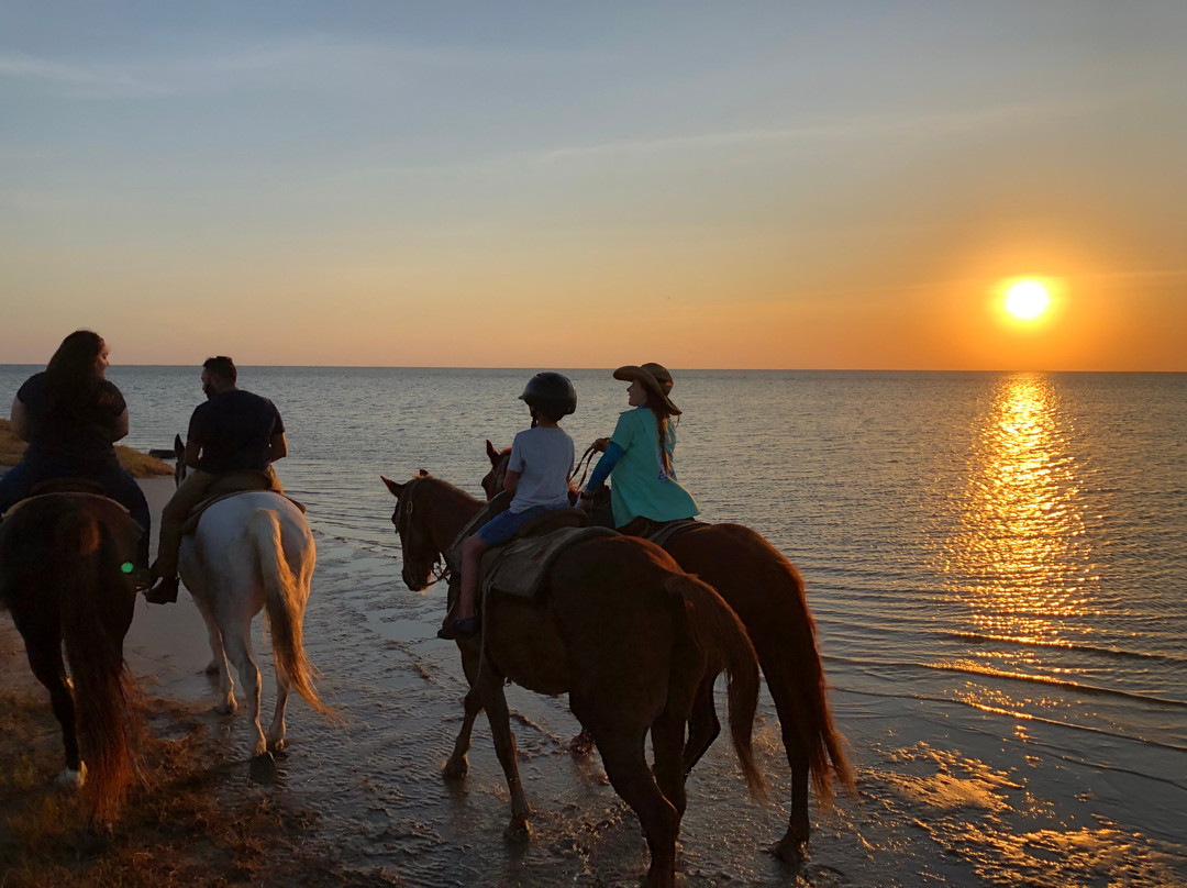 South Padre Island Adventure Park景点图片