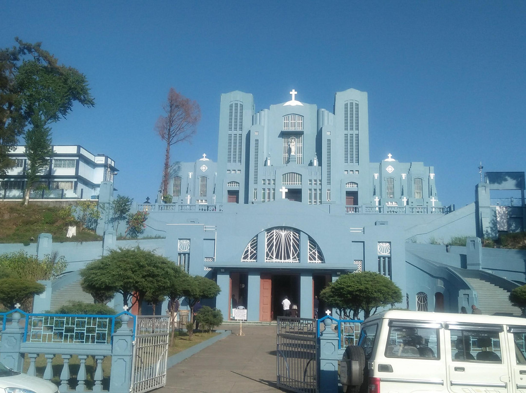Cathedral of Mary Help of Christians景点图片
