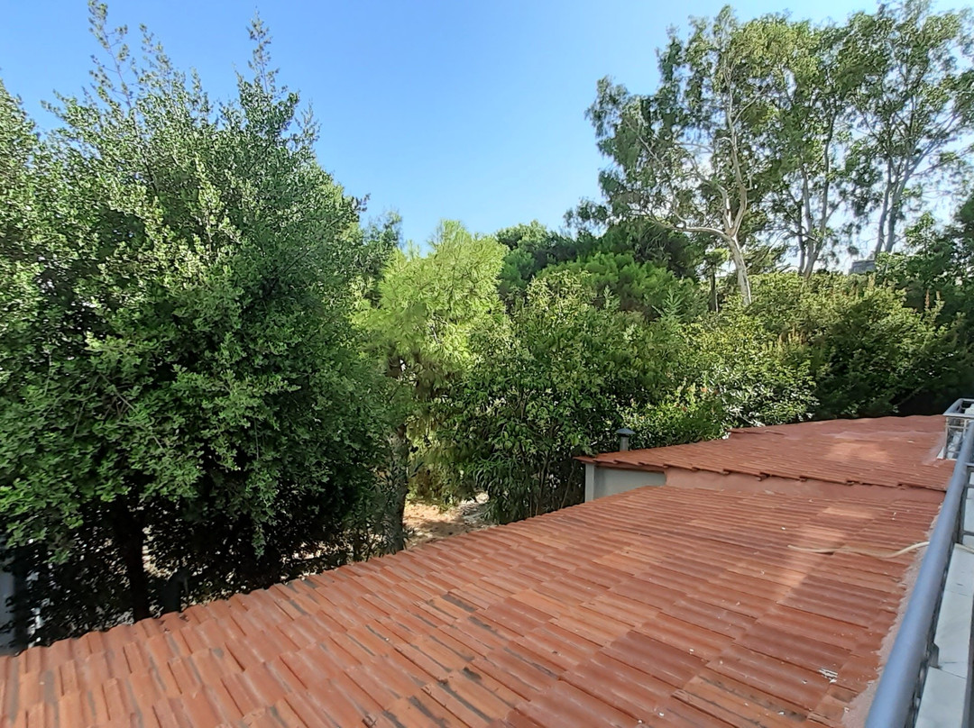 The Gardens Gallery Hotel主图