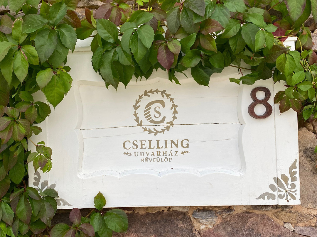 Cselling Udvarhaz主图