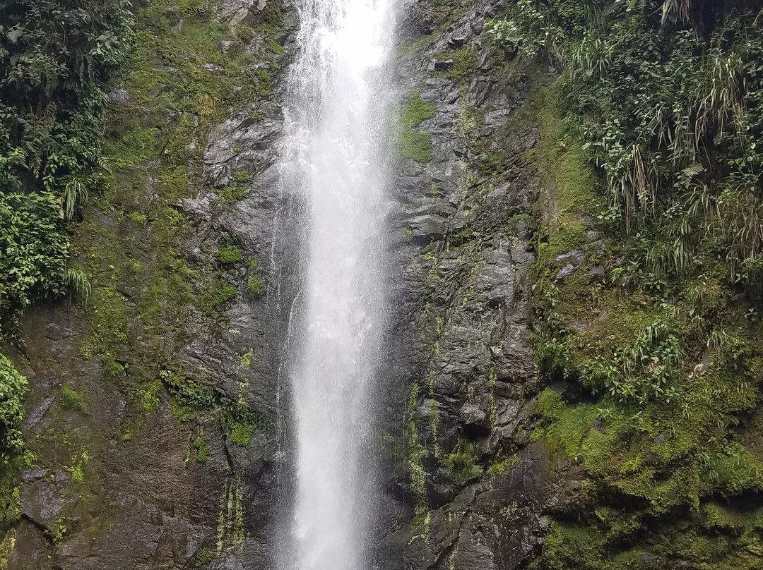 Rio Bravo Reserve-明多必去景点