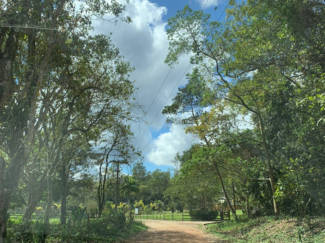 Reserva Aroeira主图