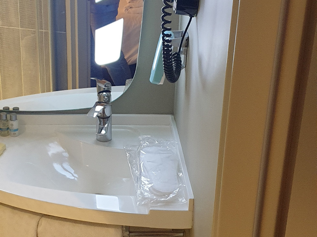 ibis Moscow Domodedovo Airport主图