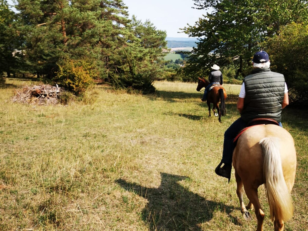 Star Line Farm主图