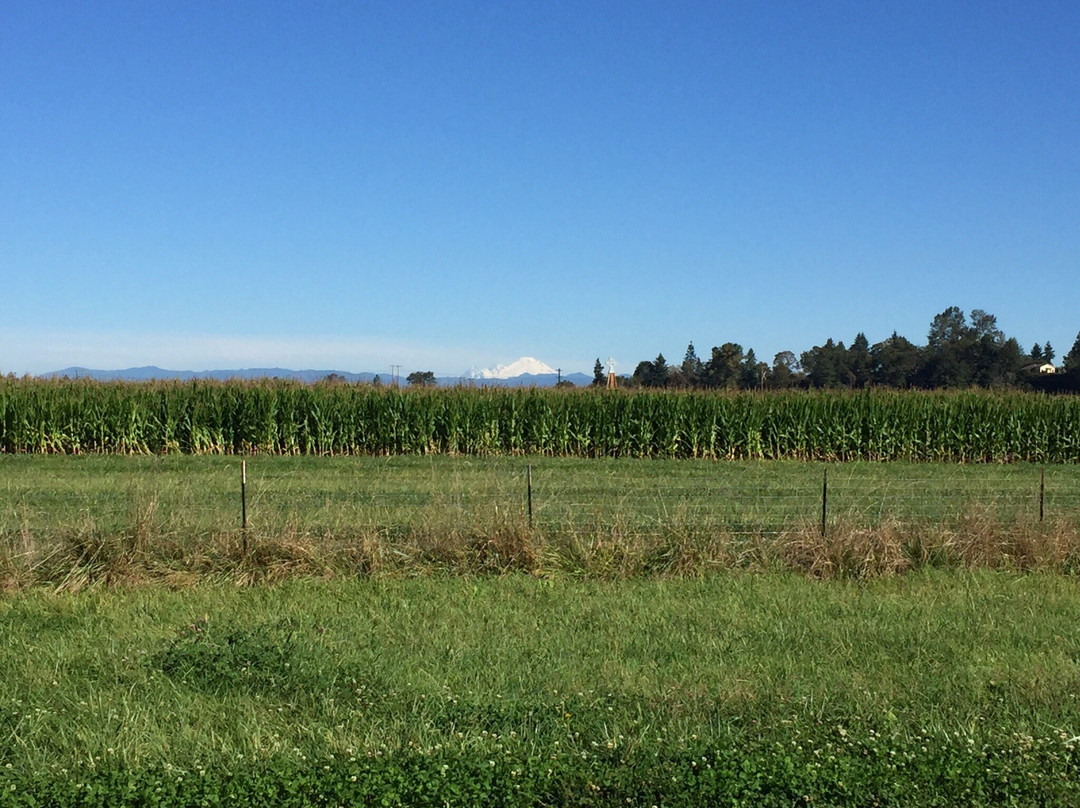 The Farm at Swan's Trail-Snohomish必去景点