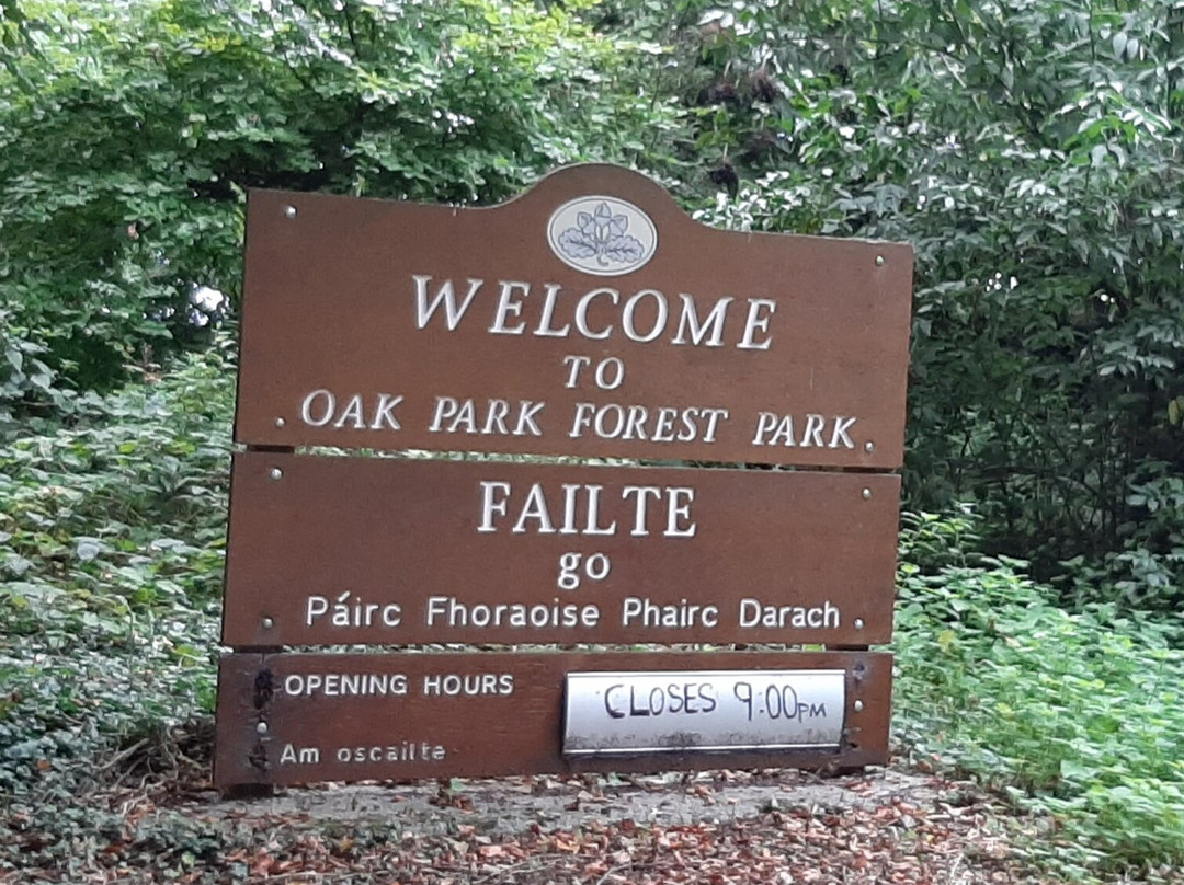 Oak Park Forest Park-Carlow必去景点