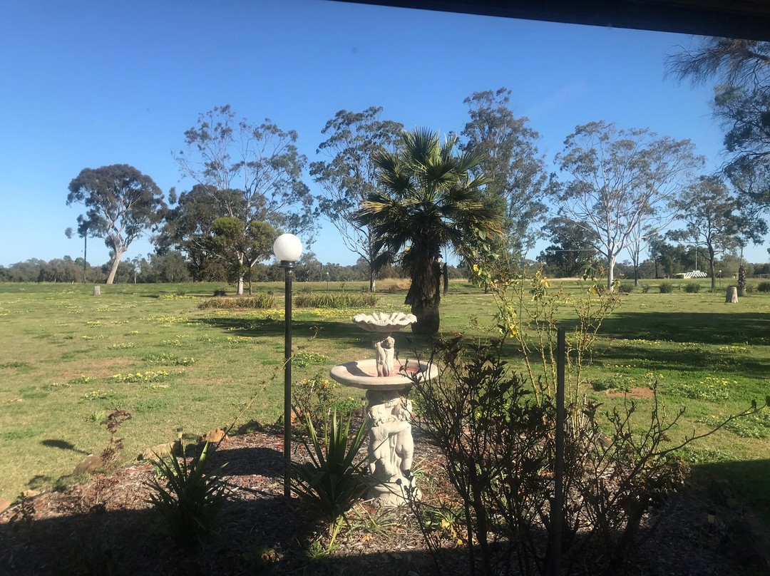 Castlereagh Motor Inn主图