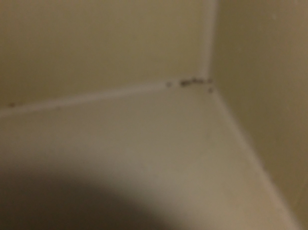 Comfort Suites主图