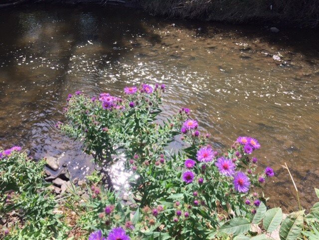 Rotary Park-Menomonee Falls必去景点