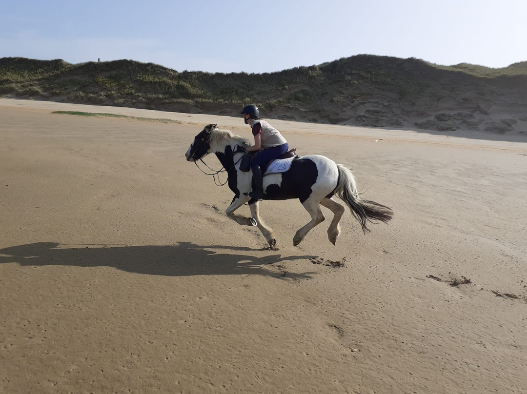 Donegal Equestrian Centre-Bundoran必去景点