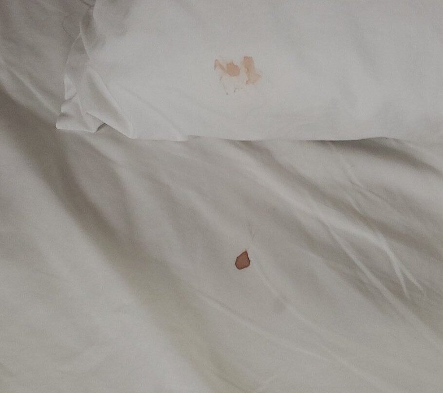 Christopher Inn & Suites主图