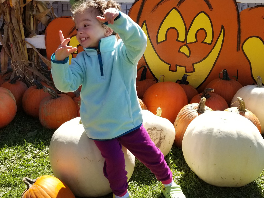 Sonny Acres Farm-West Chicago必去景点