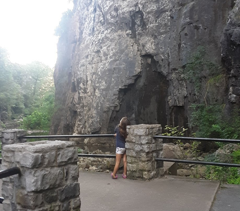 Caverns At Natural Bridge-天然桥必去景点