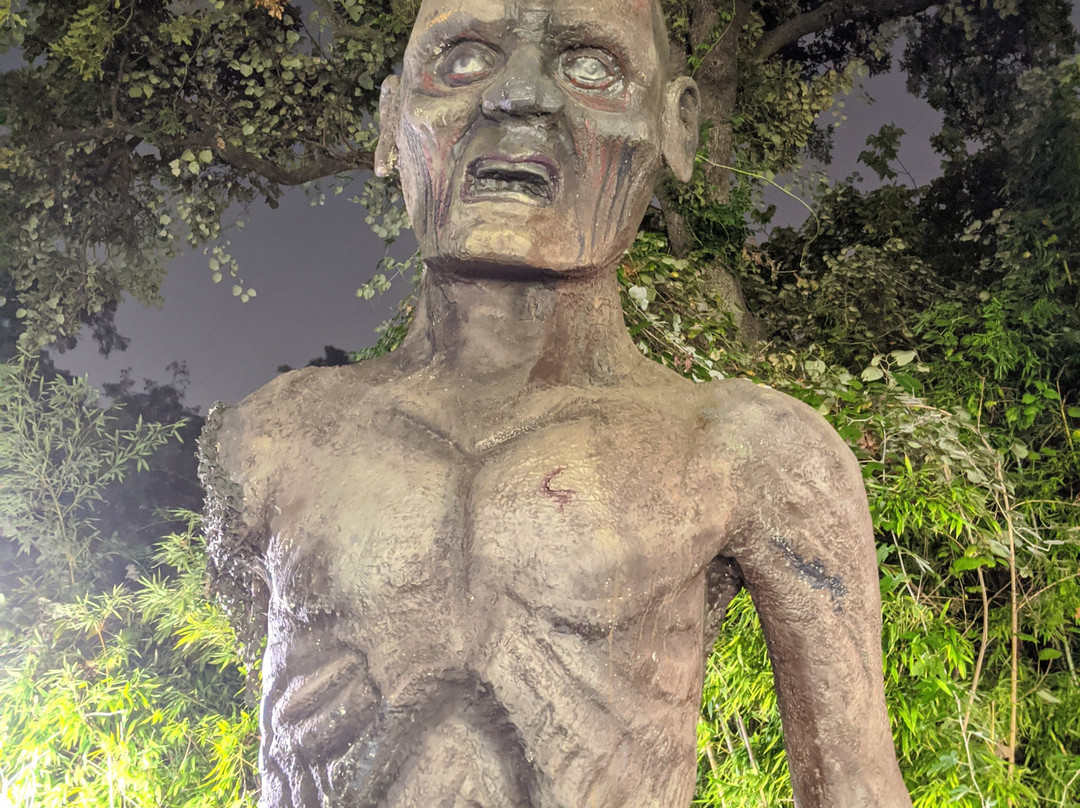 六面旗降临德克萨斯-阿灵顿必去景点