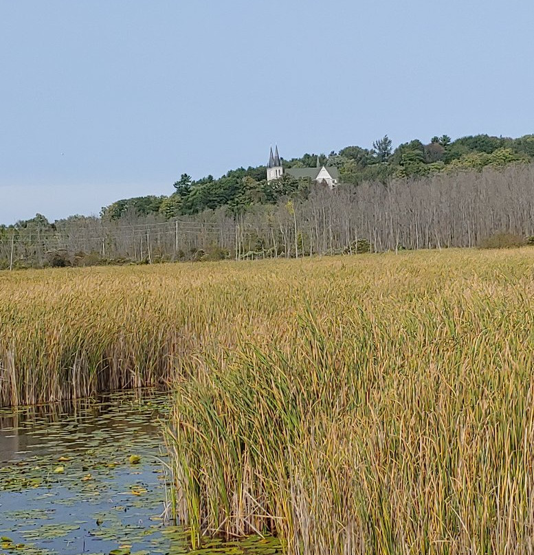 Wye Marsh Wildlife Centre-Midland必去景点