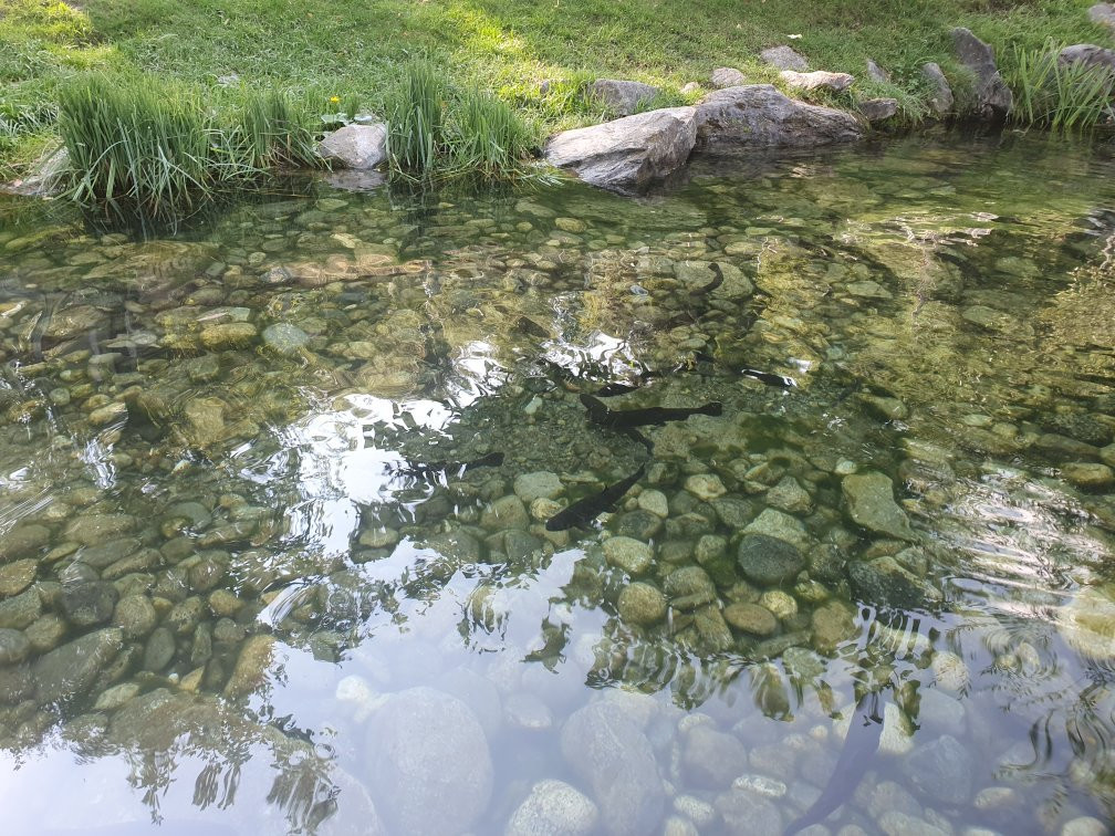 Parco Faunistico Mont Avic-Champdepraz必去景点