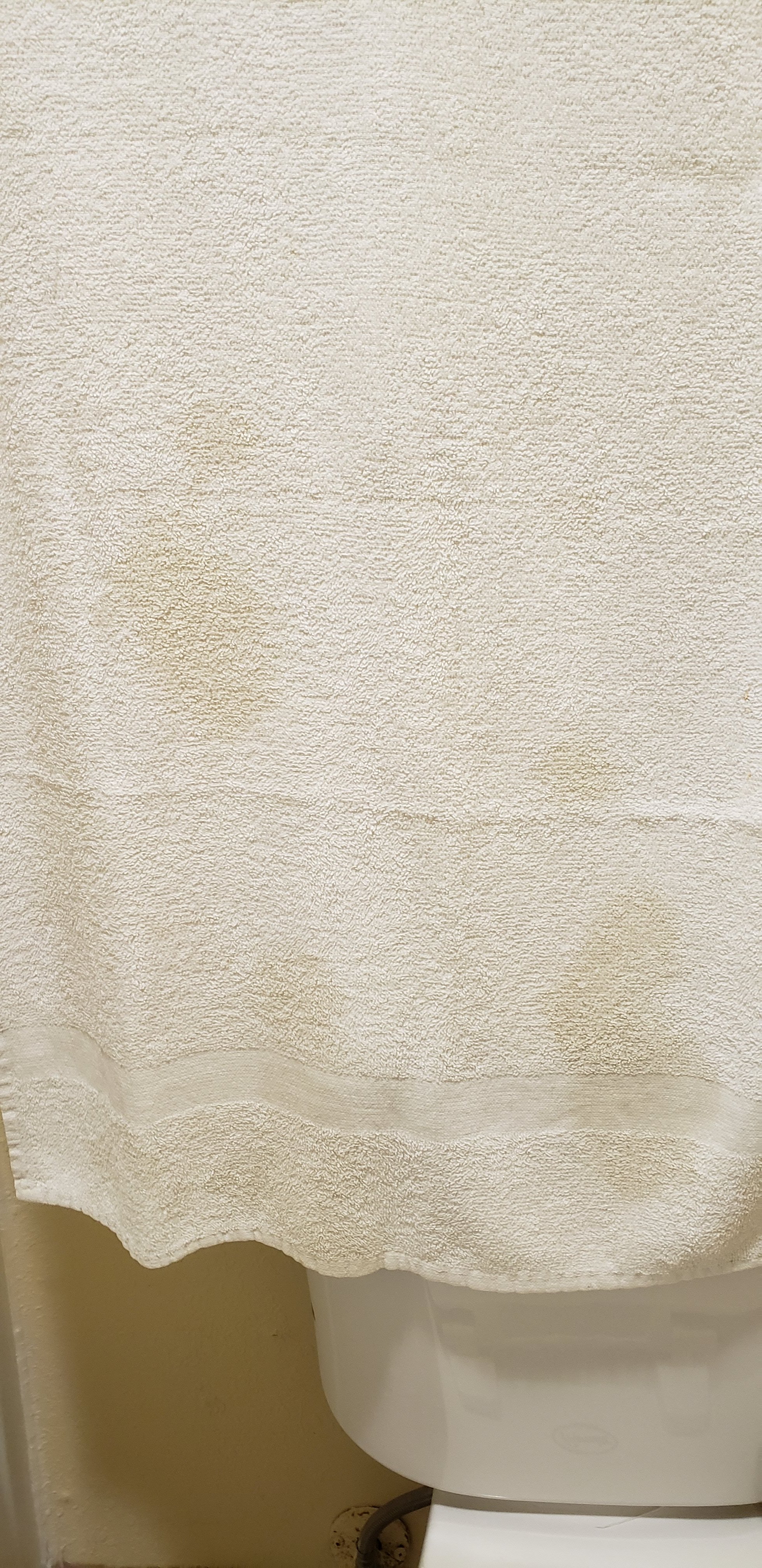 St Augustine Island Inn-浴室