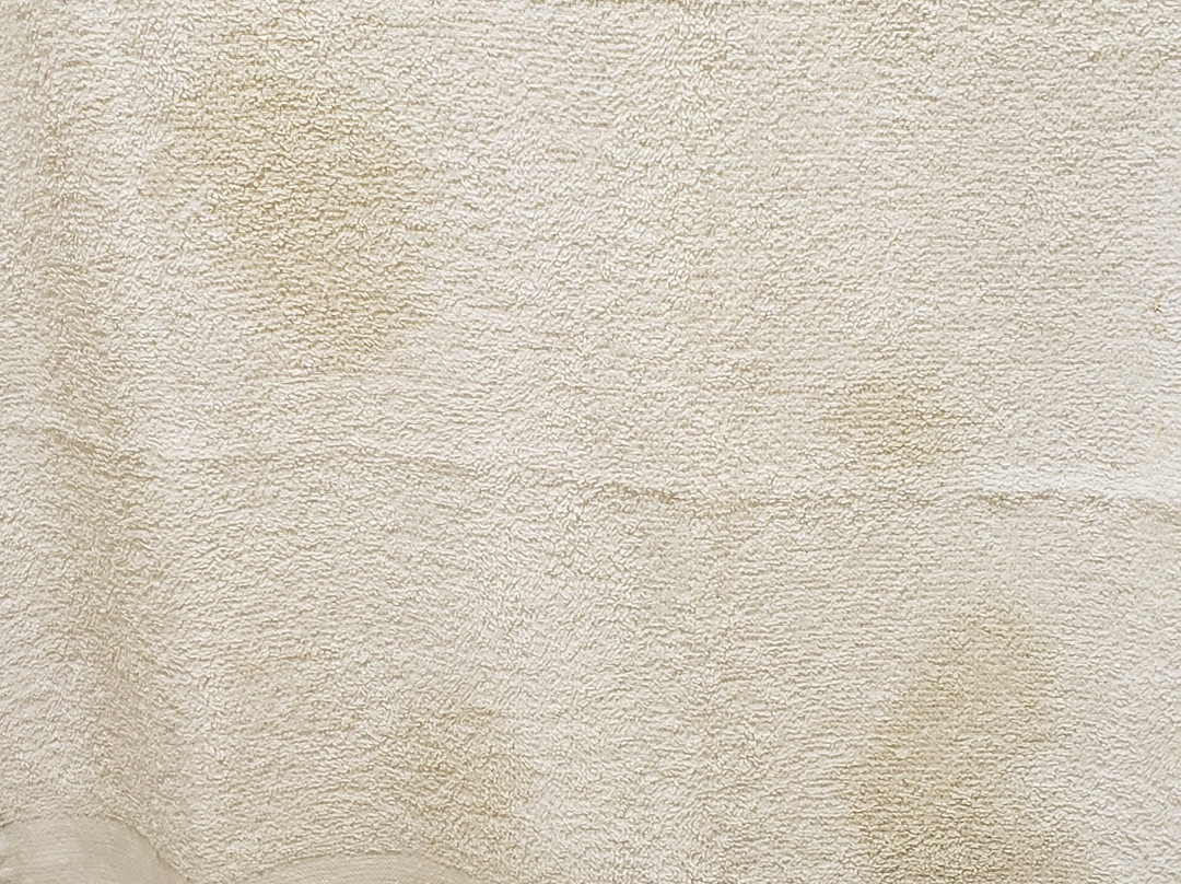 St Augustine Island Inn主图