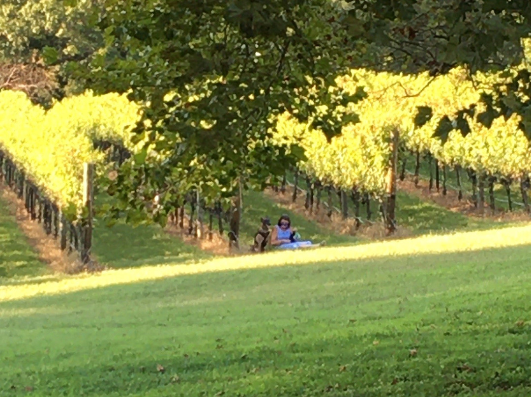 Robin Hill Farm & Vineyards景点图片