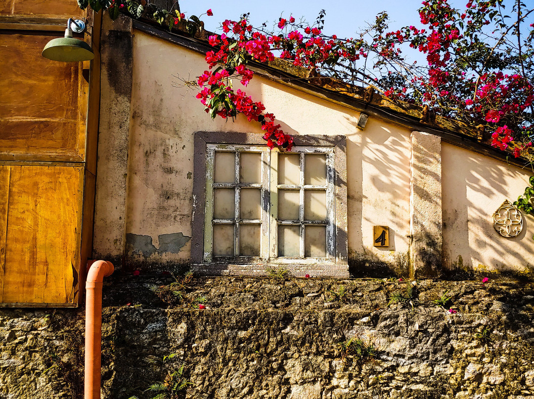 Pousada Vale Do Cafe主图