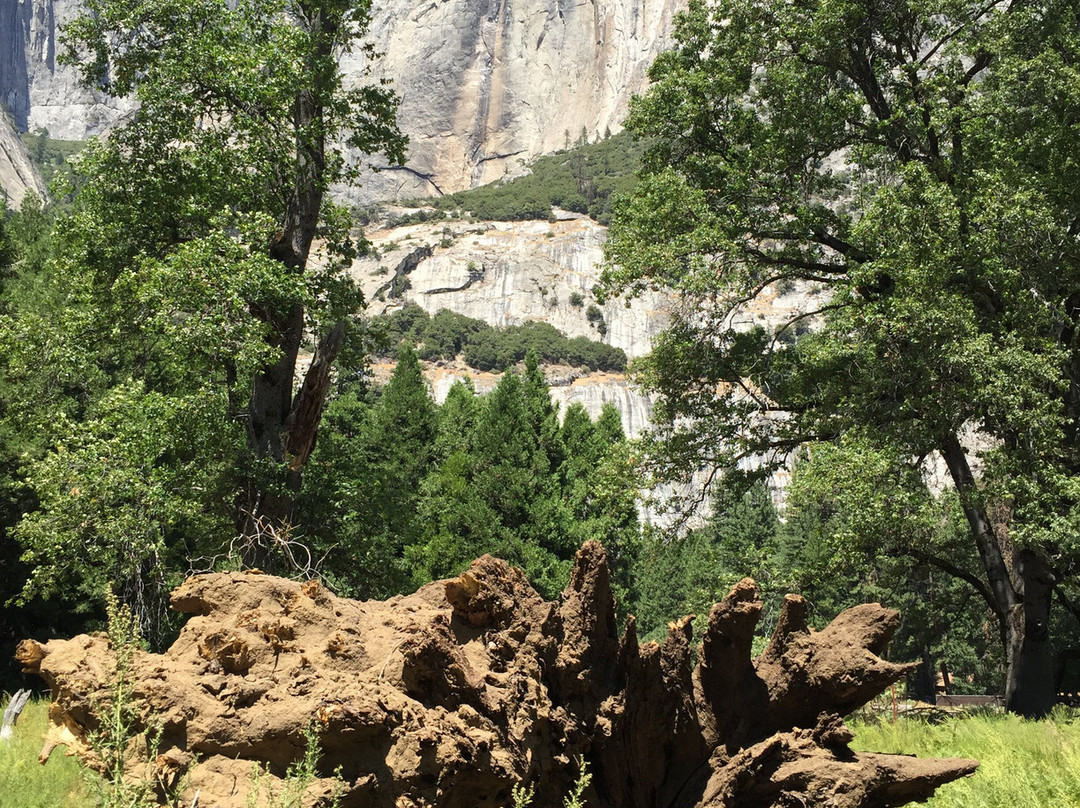 Cooks Meadow Loop-优胜美地国家公园必去景点