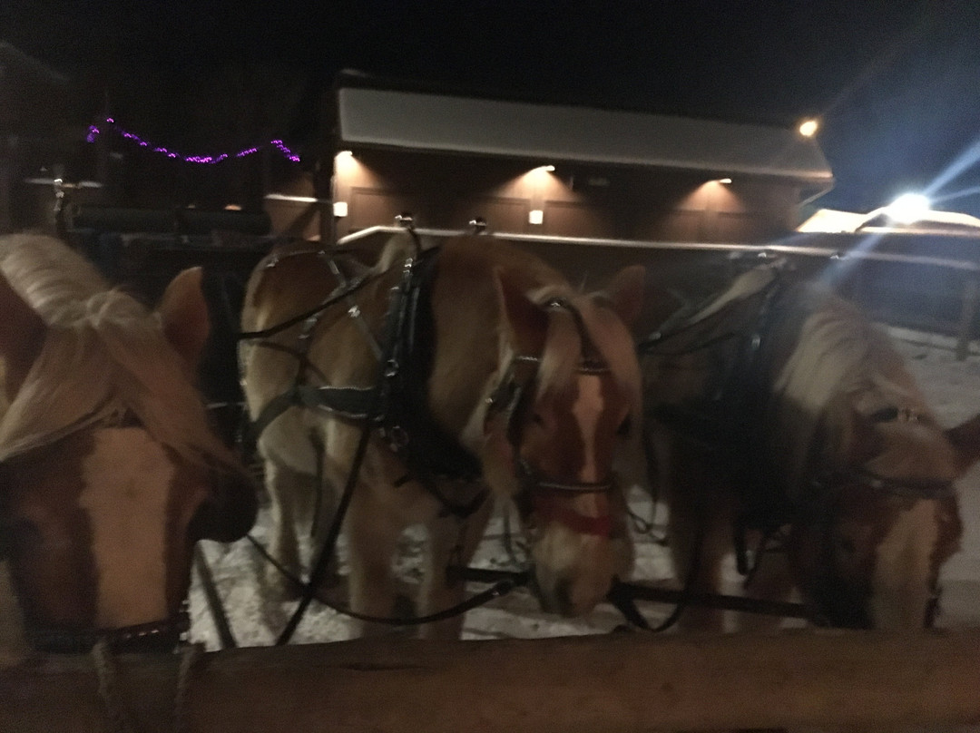 传统农场-红鹿市必去景点