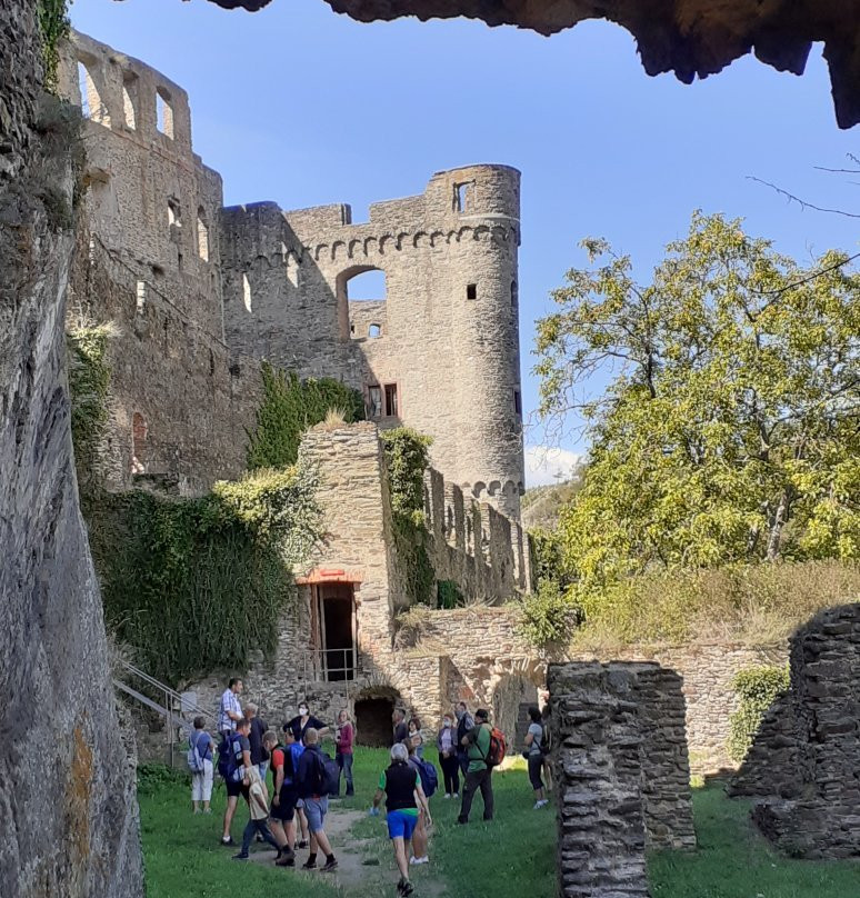 Rheinfels Castle景点图片