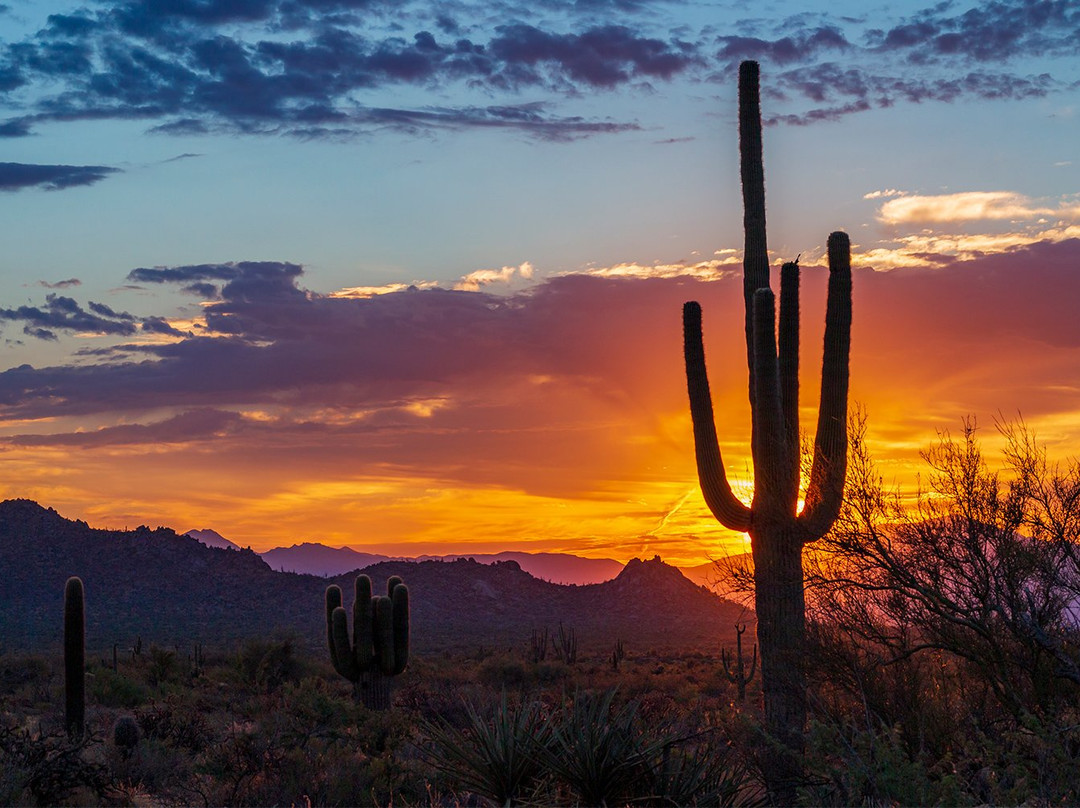 Brown's Ranch Trailhead-斯科茨代尔必去景点