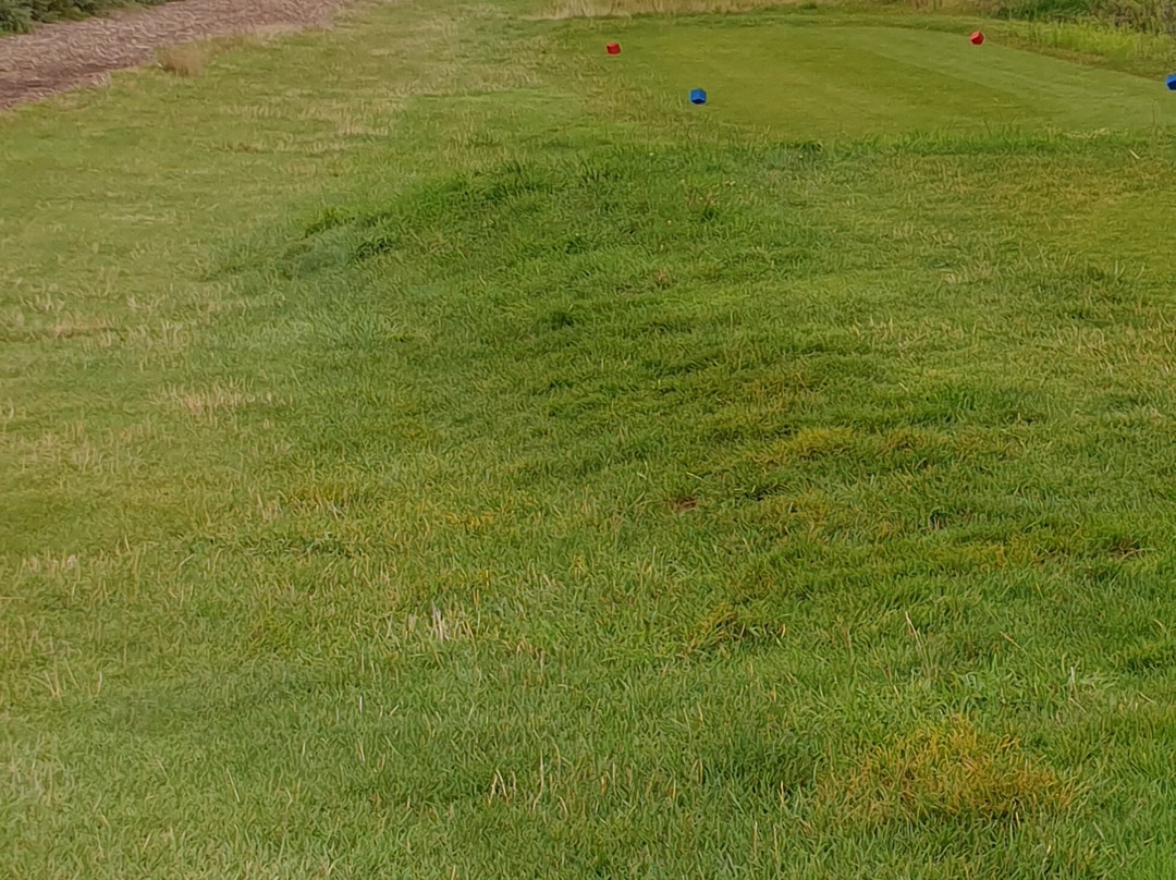 Golf de Belle Dune-Fort-Mahon-Plage必去景点