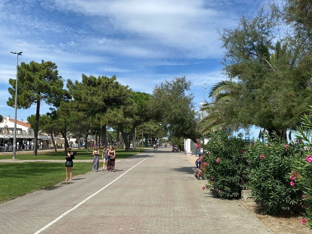Promenade du Front de Mer-滨海阿尔热莱必去景点