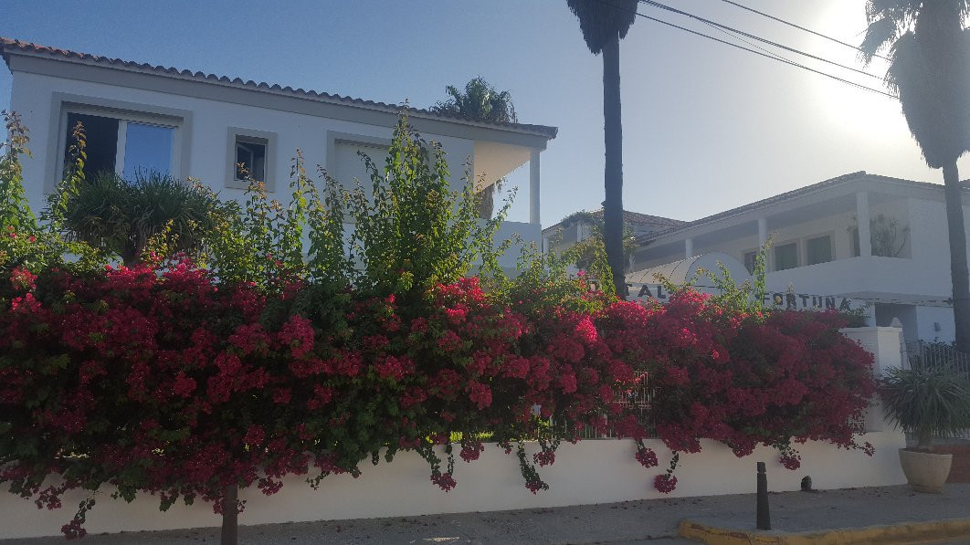 Hostal Fortuna主图