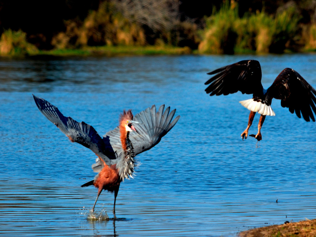 Elephant Herd Tours & Safaris-雾观必去景点