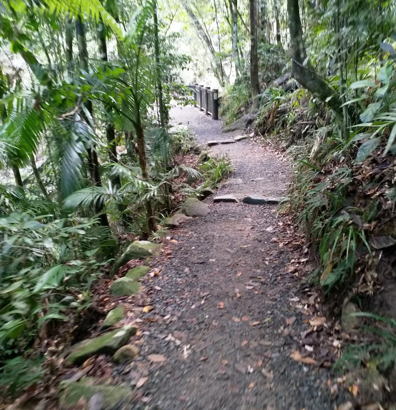 Finch Hatton Gorge景点图片